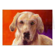 Tracy's Cody card