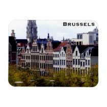 Traditional Houses Vinyl Magnet