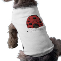 Traditional Lady Bug pet clothing