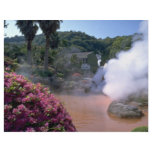 Traditional mineral water bath, Bephu, Japan Flyer Design