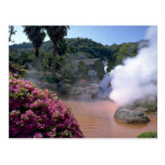 Traditional mineral water bath, Bephu, Japan Post Cards