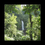 Trafalgar Falls Magnet