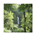 Trafalgar Falls Magnet