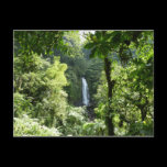 Trafalgar Falls Postcard