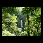 Trafalgar Falls Poster