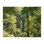 Trafalgar Falls Tropical Rainforest Photography Wood Wall Art