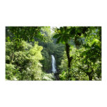 Trafalgar Falls Wide Format Poster