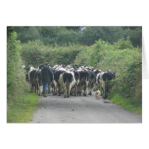 Traffic Jam! cards by katmal Traffic Jam! cards