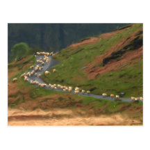 Traffic Jam Postcard