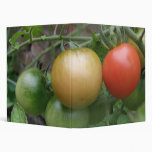 Traffic Light Tomatoes Photograph Album Vinyl Binders
