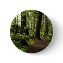 Trail Amongst Giants Pinback Button
