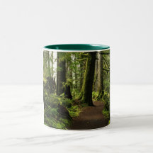 Trail Amongst Giants Coffee Mugs