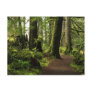 Trail Amongst Giants Postcards