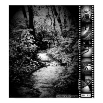 Trail Image Poster posters by wislander Trail Image Poster posters