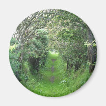 Trail In Ireland Fridge Magnet