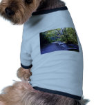 Trail Into Fern Canyon, Prairie Creek - Redwoods S Dog Tee Shirt