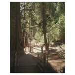 Trail of 100 Giants (1) Letterhead Template