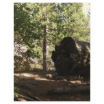 Trail of 100 Giants Letterhead