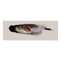 Trail of Tears posters by awohali Trail of Tears posters
