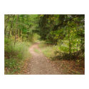 Trail posters by jessie_heath29 Trail posters