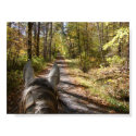 Trail Ride posters