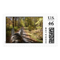 Trail Ride, www.mysticdreamllc.com Postage