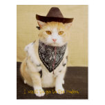 Trail Rider Bubba Postcard