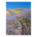 trail through flowers posters by dma847 trail through flowers posters