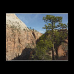 Trail to Angels Landing Postcard
