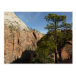 Trail to Angels Landing Postcard