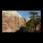 Trail to Angels Landing Print