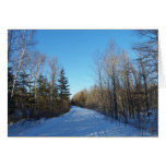 Trail View