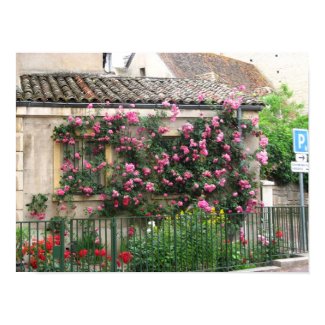 Trailing Roses print