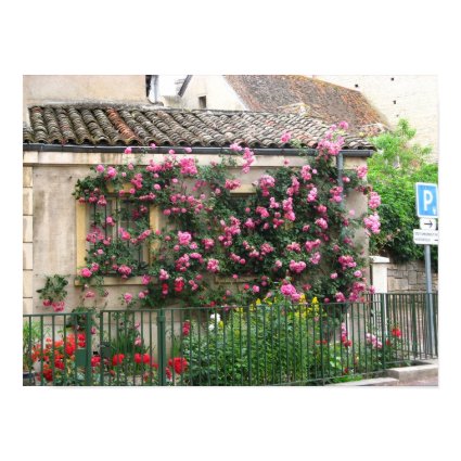 Trailing Roses print