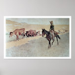 Trailing Texas Longhorns (oil on canvas) Print
