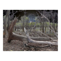Trails End posters