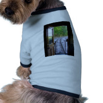 train pet clothing
