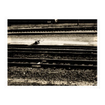 Train Tracks, 2008 Ann Yin posters