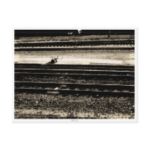 Train Tracks Postcard