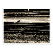Train Tracks Postcard postcards