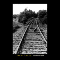 Train Tracks posters