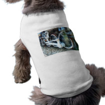 Train Wheels pet clothing