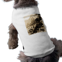 Train Wreck at Montparnasse , 22 October 1895 Pet Clothes