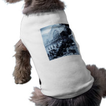 Train Wreck at Montparnasse , 22 October 1895 Pet Tee