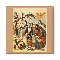 Trained Dog Act 1899 - Vintage Circus Act Poster magnets by scenesfromthepast Trained Dog Act 1899 - Vintage Circus Act Poster magnets