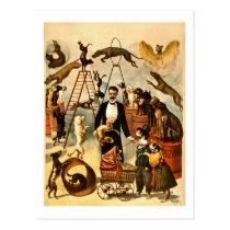 Trained Dog Act 1899 - Vintage Circus Act Poster postcards