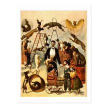 Trained Dog Act 1899 - Vintage Circus Act Poster Postcard