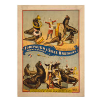 Trained Seals Circus Poster - Forepaugh & Sells posters