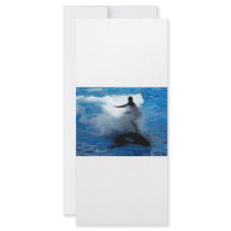 Trainer riding on killer whale orca photograph custom rack cards