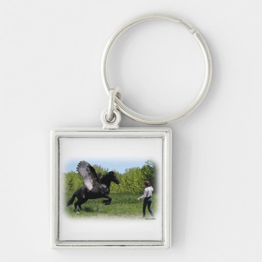 Training Pegasus Key Chains